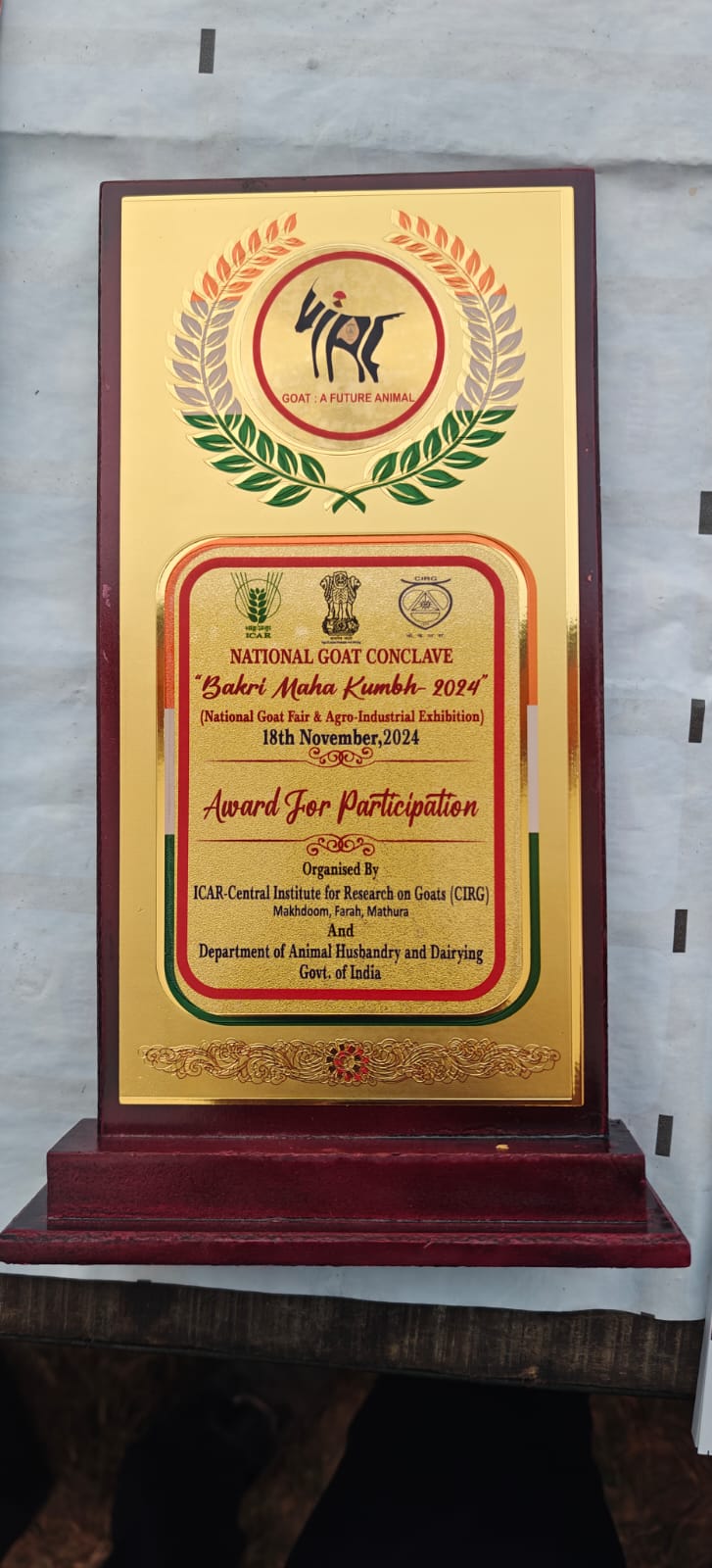 6e734115-2bcf-4cb5-9a5a-f81b3cf492dd