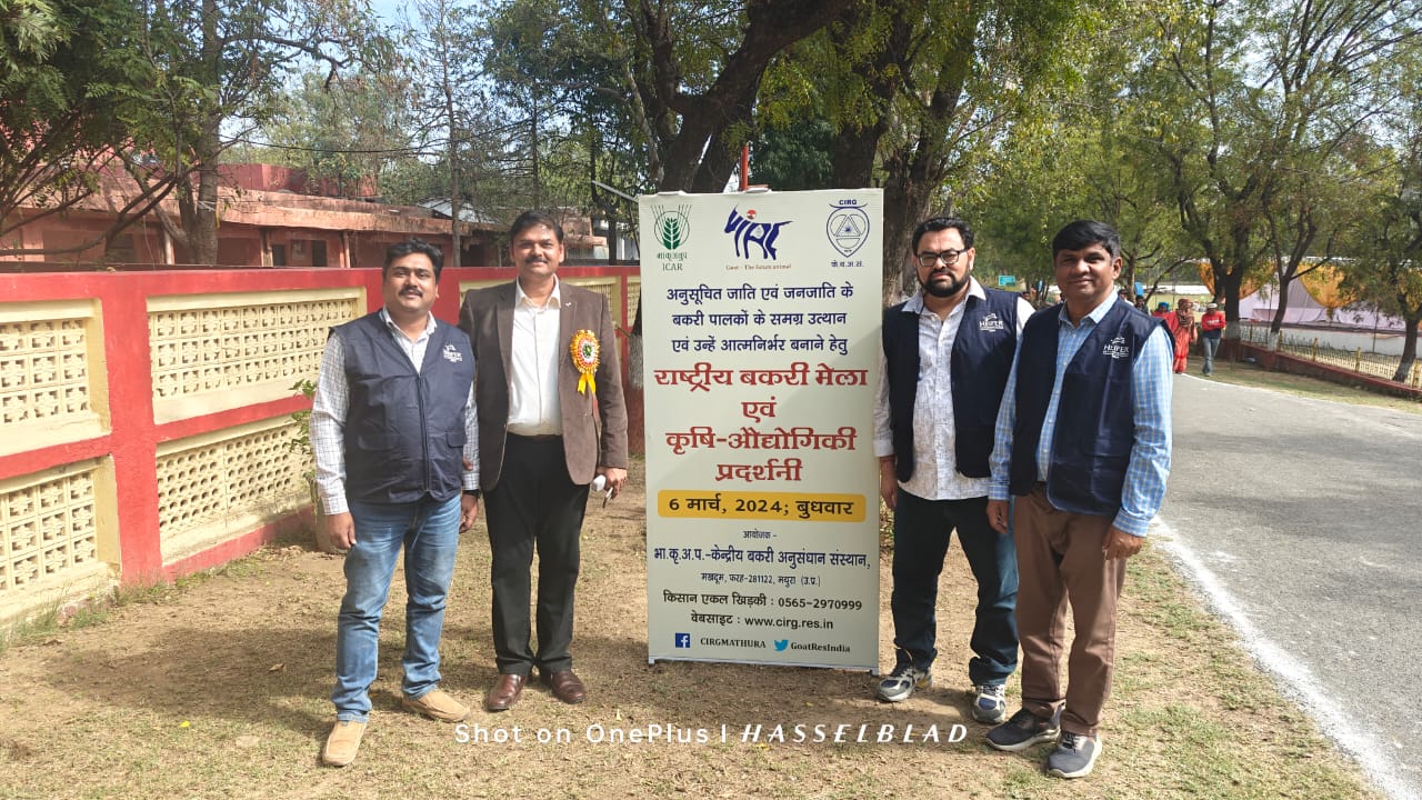 8ce1916c-2ac1-4a76-a9c9-c74806d8a17c